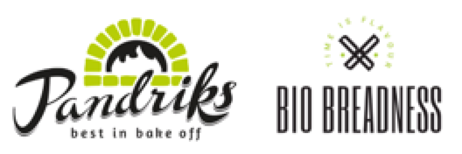 Logo Pandriks